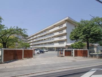 松戸市立和名ケ谷小学校／徒歩7分・約520m(2025年2月)