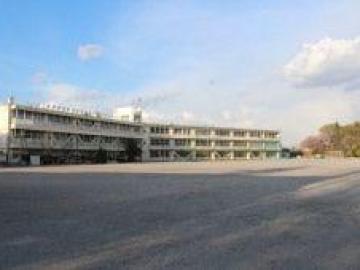 流山市立向小金小学校／徒歩4分・約300m(2025年3月)