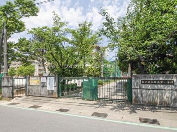 松戸市立殿平賀小学校／徒歩12分・約900m(2024年12月)