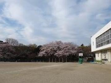 流山市立東小学校／徒歩3分・約230m(2025年3月)