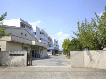 流山市立鰭ヶ崎小学校／徒歩11分・約850m(2025年7月)
