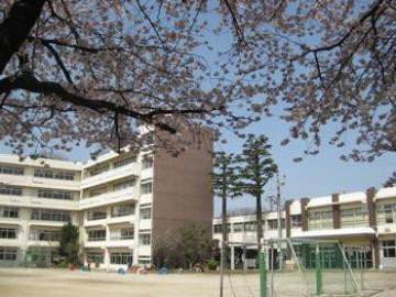 松戸市立小金小学校／徒歩12分・約950m(2025年9月)