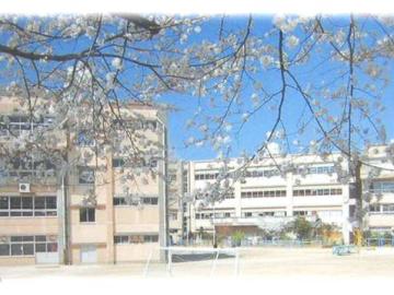 松戸市立柿ノ木台小学校／徒歩7分・約550m(2025年12月)