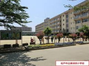 松戸市立横須賀小学校／徒歩7分・約520m