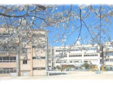 松戸市立柿ノ木台小学校／徒歩3分・約190m(2026年4月)