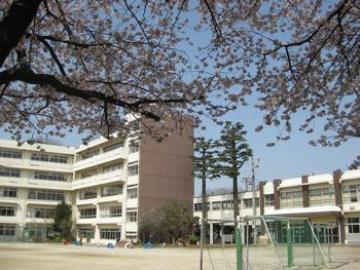松戸市立小金小学校／徒歩7分・約550m(2026年2月)