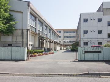 松戸市立新松戸南中学校／徒歩10分・約800m(2024年12月)