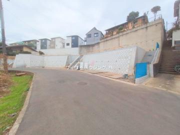 前面道路含む現地写真(2025年12月)