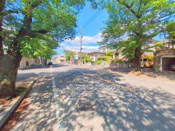 前面道路含む現地写真(2025年5月)
